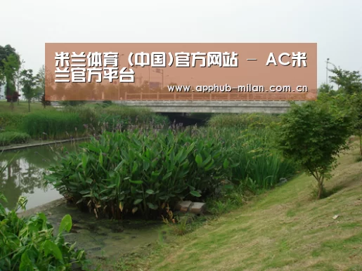 案例展示四(图1)