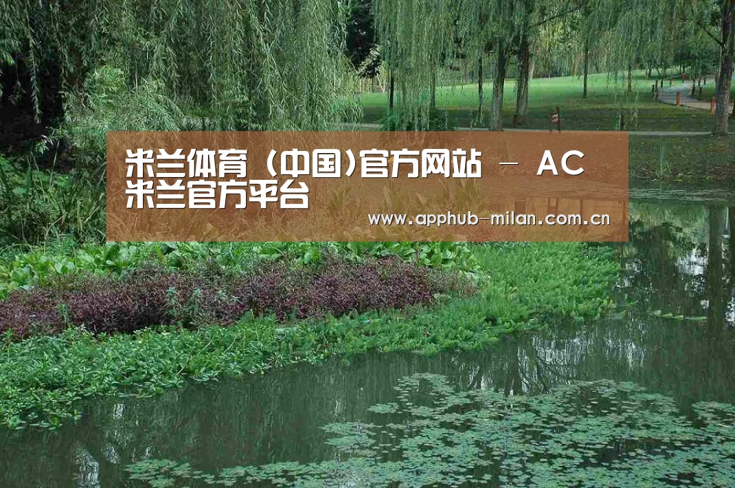 案例展示一(图1)