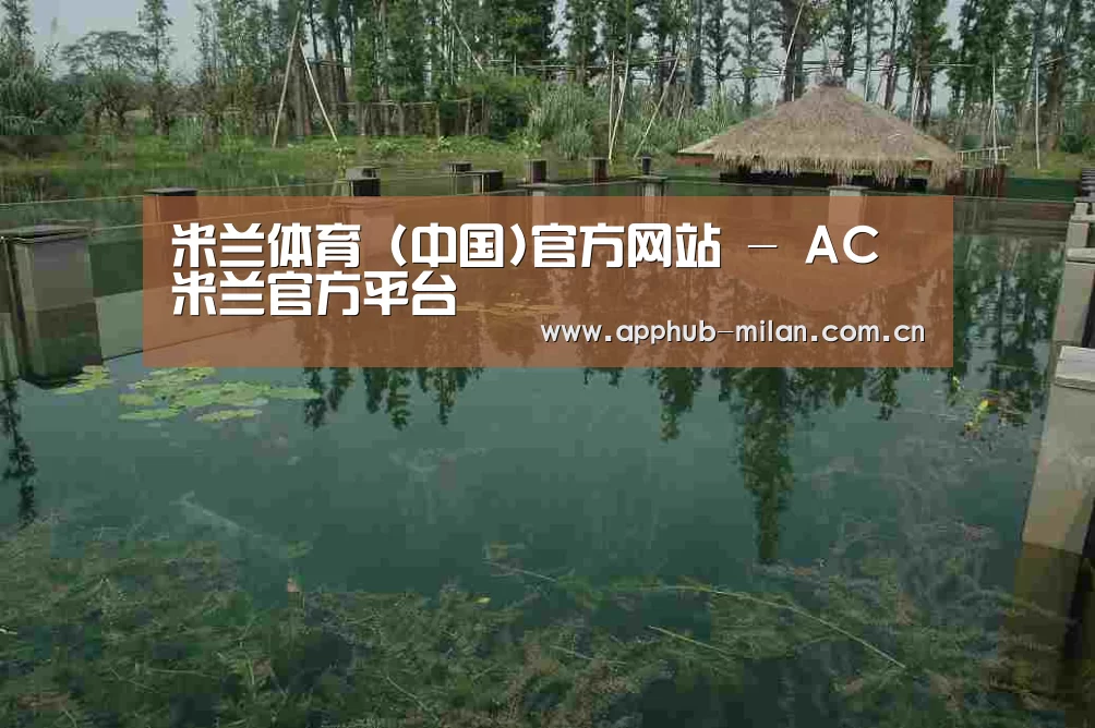 案例展示二(图1)