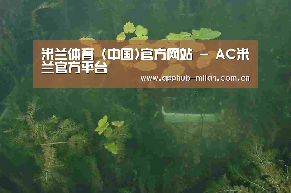 案例展示三(图1)