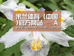 产品名称二