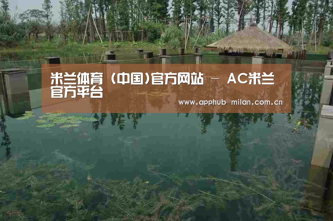 案例展示二