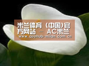 产品名称七