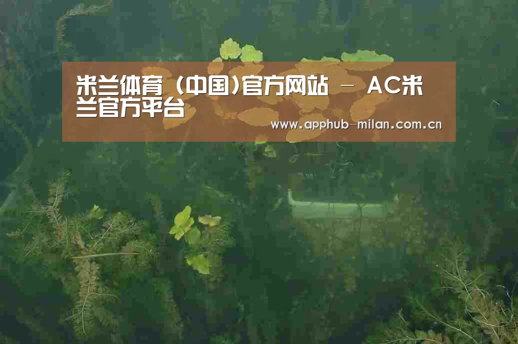案例展示三
