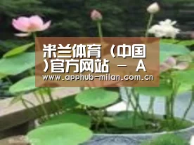产品名称一