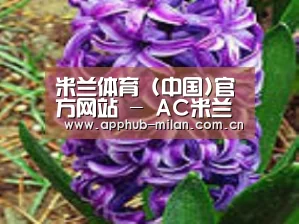 产品名称八
