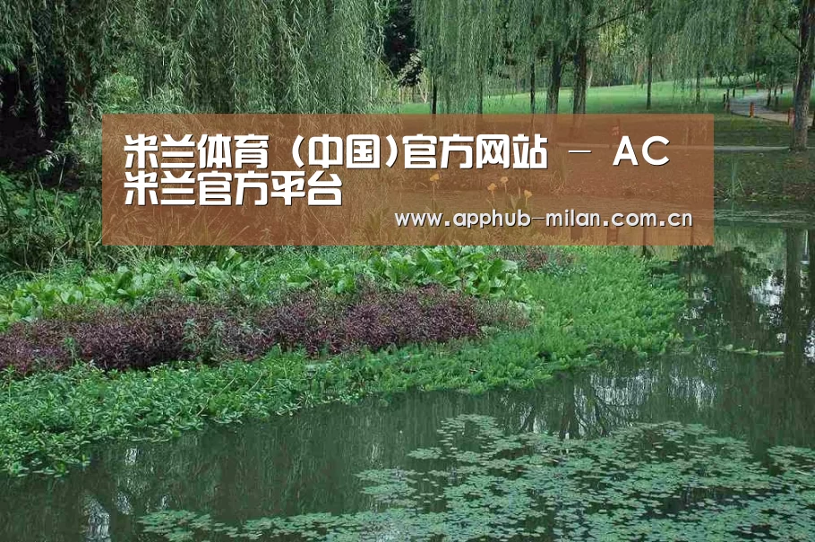 案例展示一