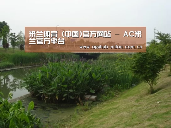 案例展示四
