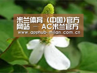 产品名称三