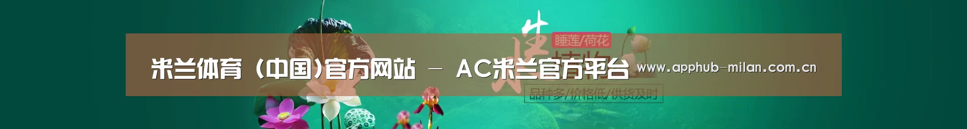 鲜花水草花卉网站模板