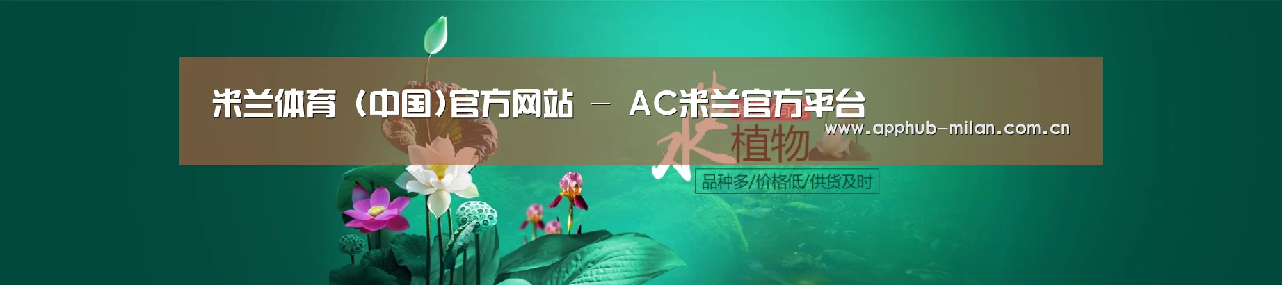 鲜花水草花卉网站模板