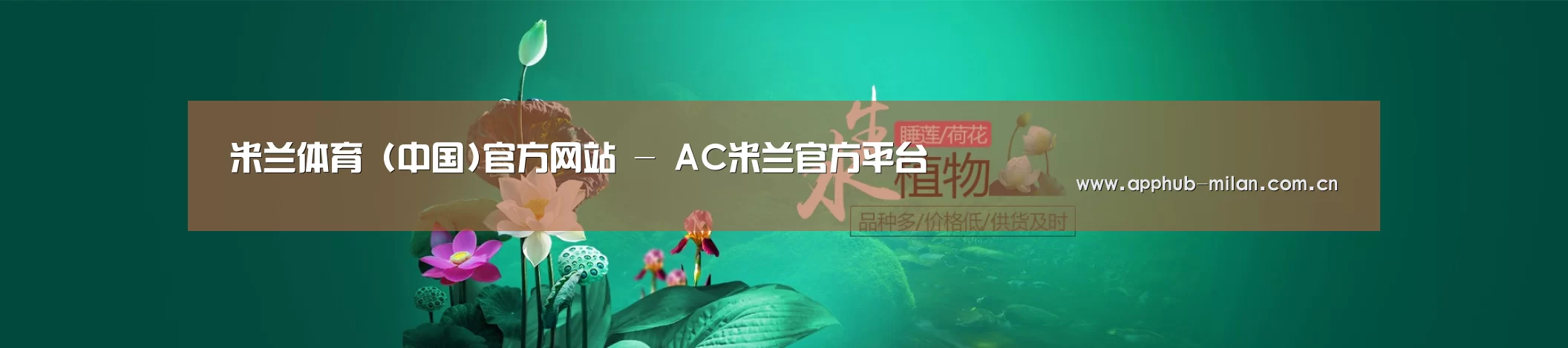 鲜花水草花卉网站模板