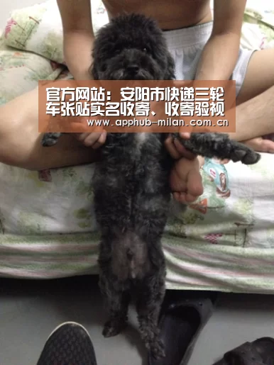 米兰体育入口
