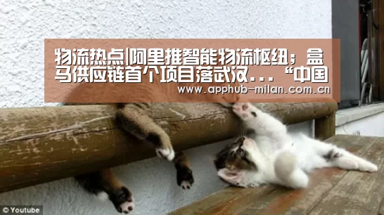 官方网站