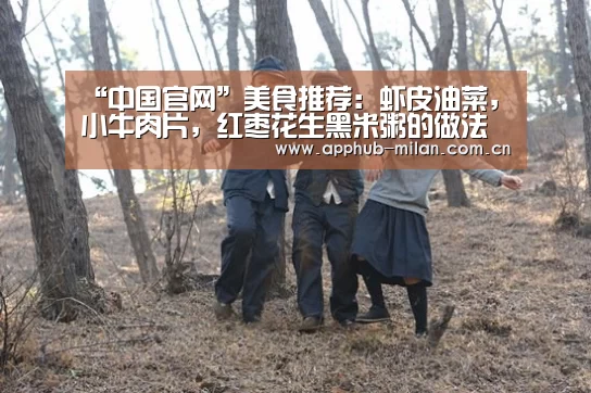 中国官网