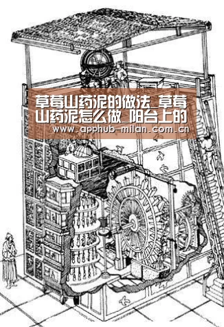 中国官网