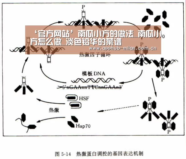 ‘官方网站’南瓜小方的做法_南瓜小方怎么做_淡色铅华的菜谱(图1) AC米兰
